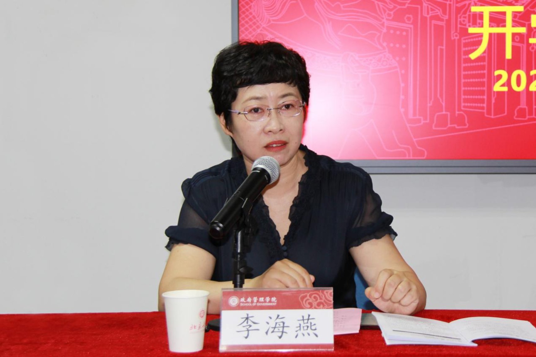 李海燕书记